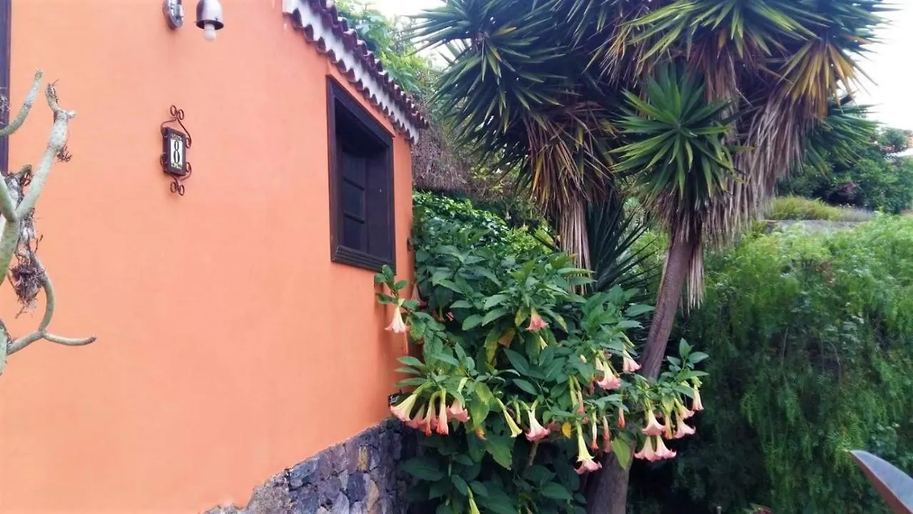 Gospodarstwo wiejskie Pensjonat Casa Ida Garachico